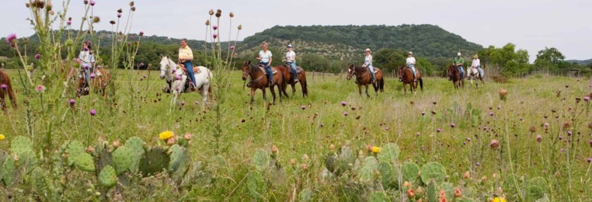 Hill Country State Natural Area